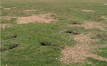 The Rabbit Man - Managing Wild Rabbits