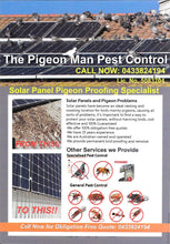 Bird Netting, Bird Spikes and Proofing